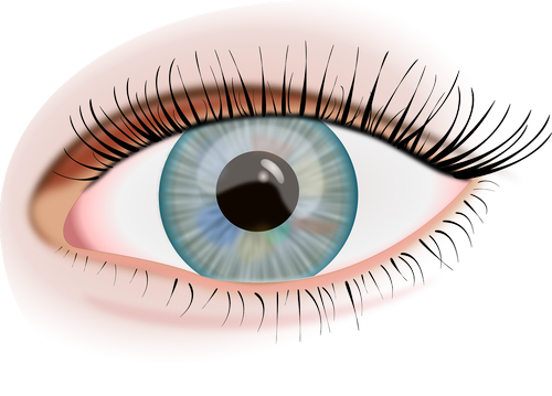 eye  iris  view