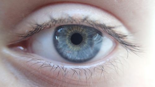 eye blue eye eyeball