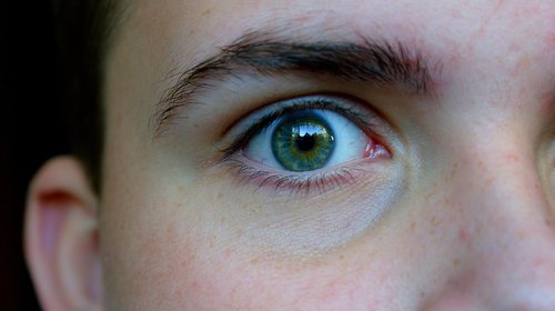 eye  green  iris