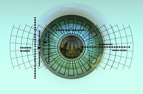 eye  iris  biometrics