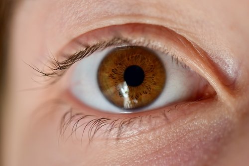 eye  iris  eyelashes