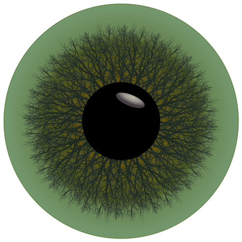 eye  iris  green