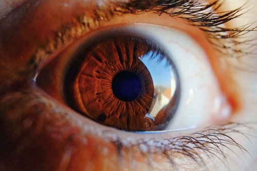 eye  macro  vision