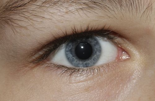 eye iris see
