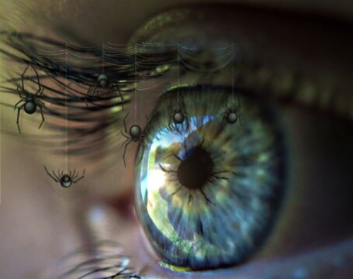 eye iris pupil