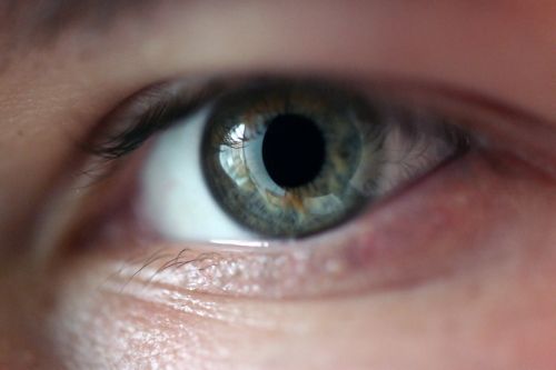 eye macro iris