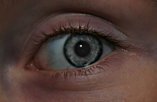 eye gray color