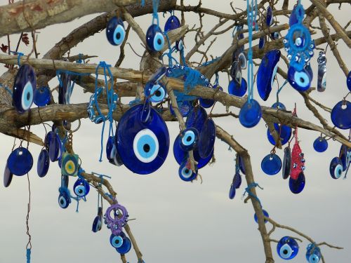 eye blue eye tree