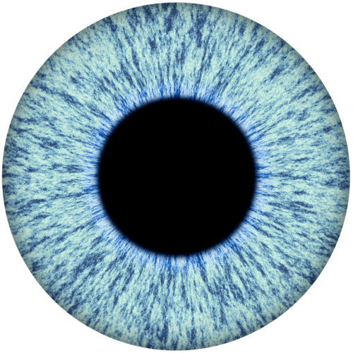 eye iris isolated