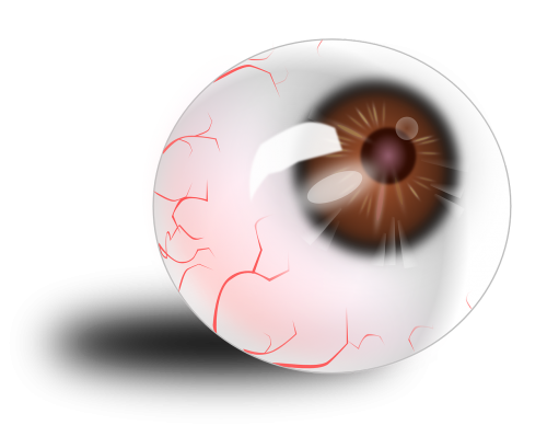 eyeball anatomy red