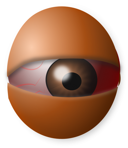 eyeball eye human