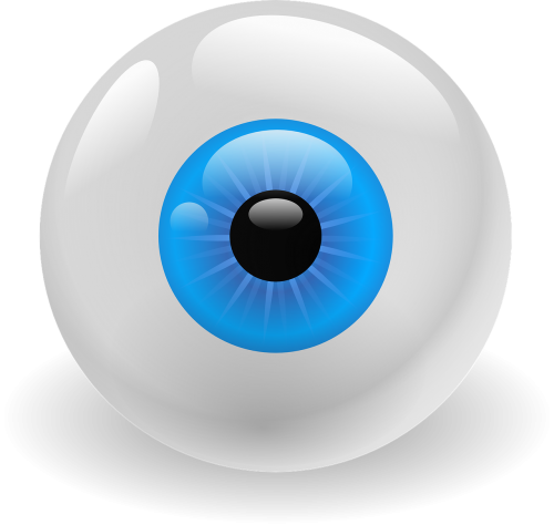 eyeball organ vision