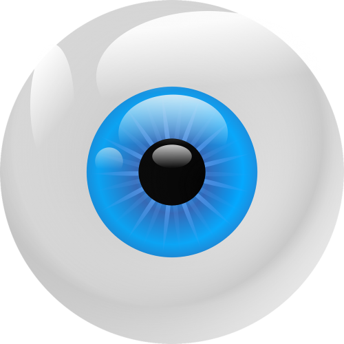 eyeball iris pupil