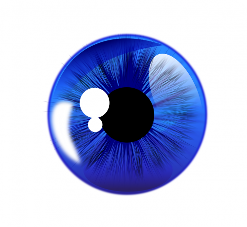 eyeball eye iris