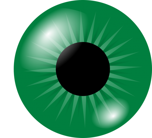 eyeball eye iris