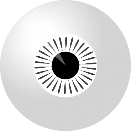 eyeball iris black