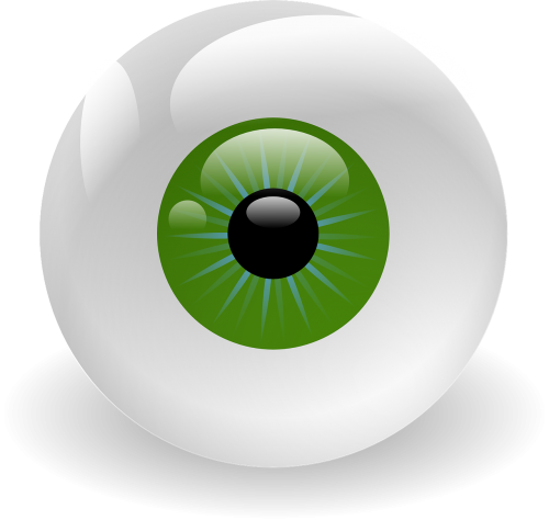eyeball vision retina