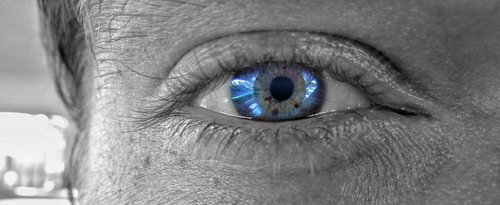 eyeball  eyelash  vision