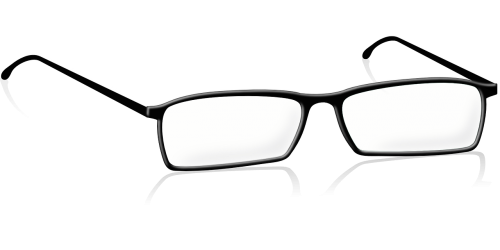 eyeglass frame optical