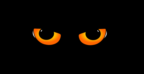 eyes eye cat's eyes
