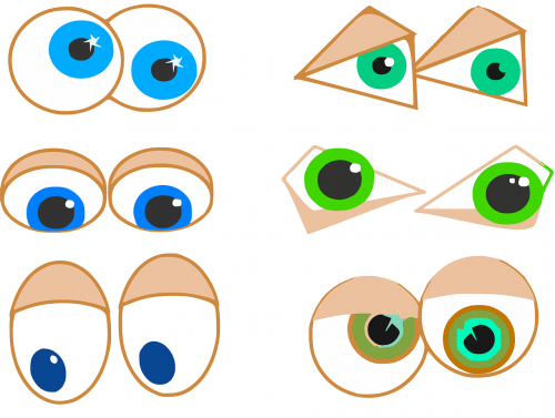 eyes anatomy eyesight