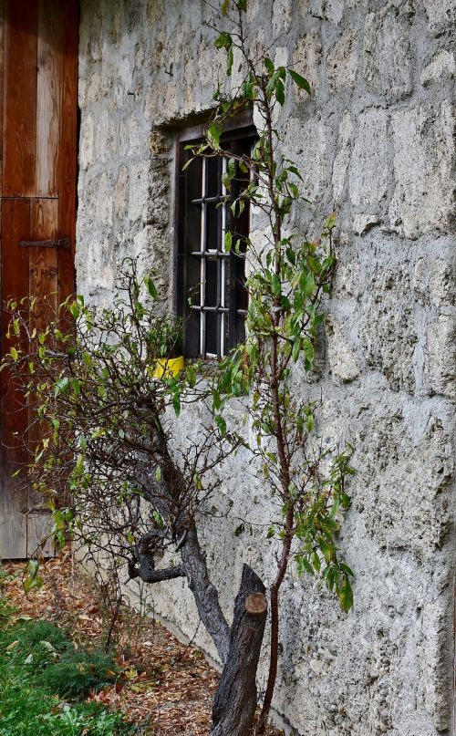 facade old romantic