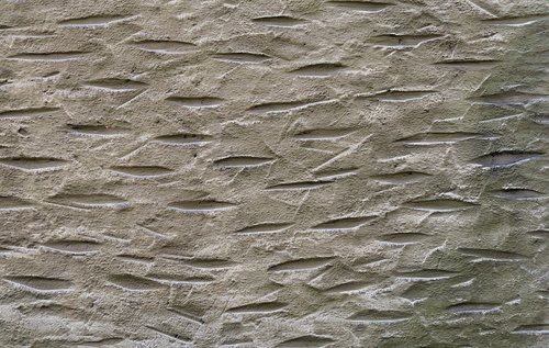 facade  plaster  spotty