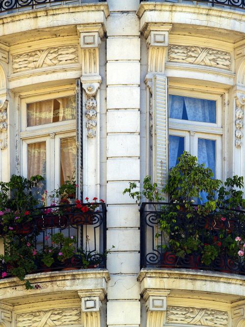 facade windows plants