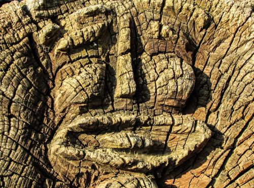 face woodcarving wood