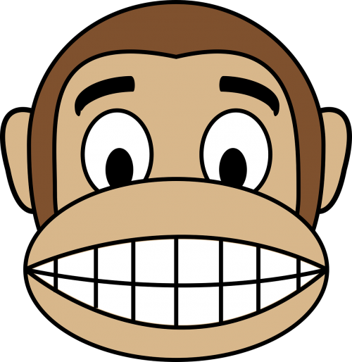 face happy monkey