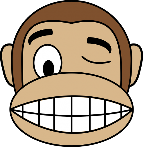 face monkey wink