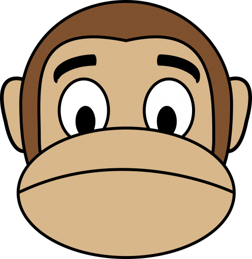 face monkey sad
