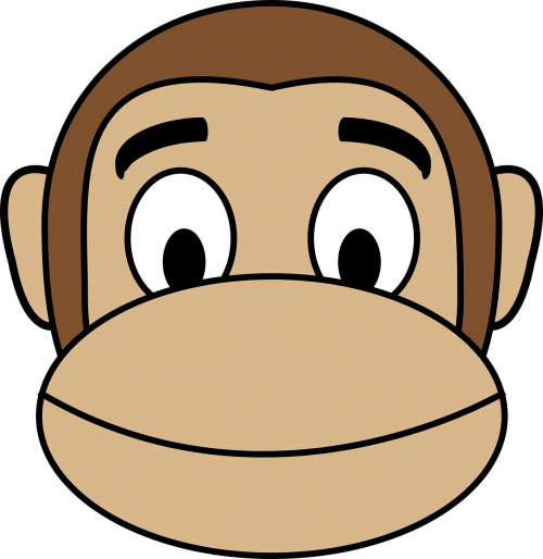 face monkey smile