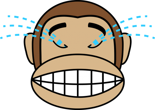 face laughing monkey