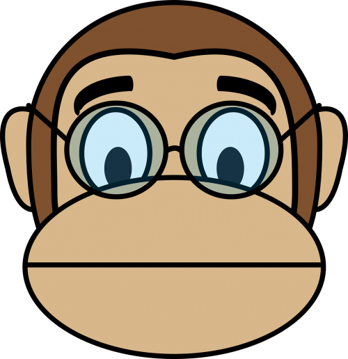 face intellectual monkey