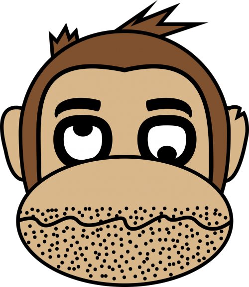 face hangover monkey