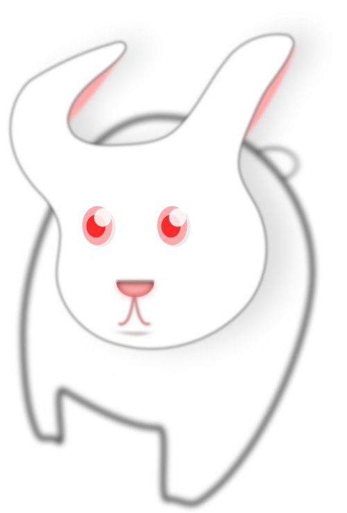 face white bunny