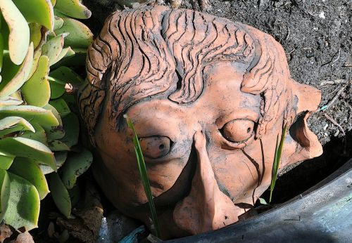 Face In A Planter