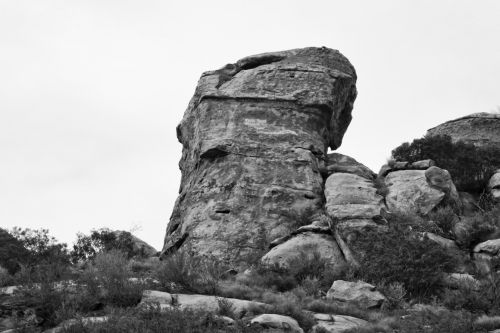 Face In The Stone Black And White