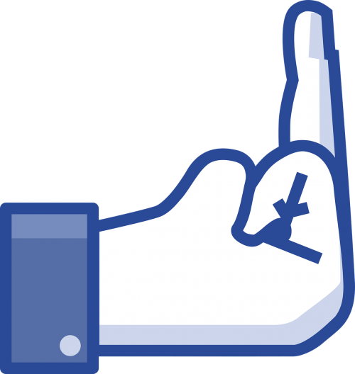 facebook social network like