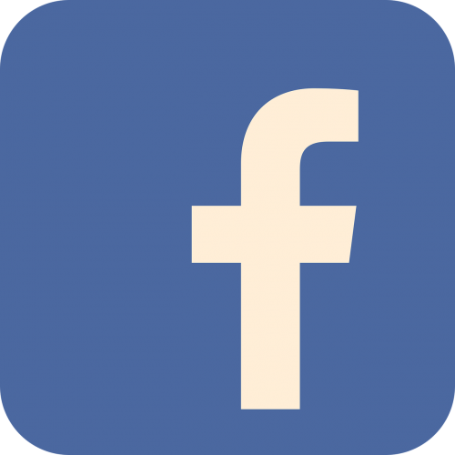 facebook flat flat icon