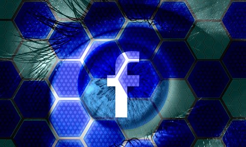 facebook  social media  social network