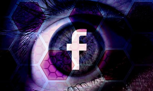 facebook  social media  network