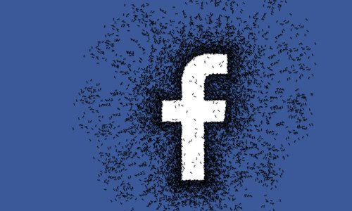facebook  social media  communication