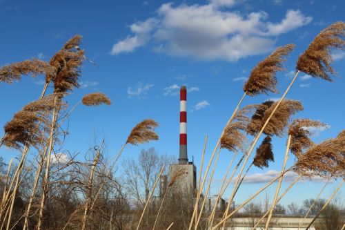 factory nature industrial plant