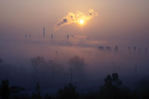 factory sunrise fog