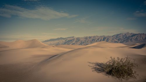 Faded Death Valley Dunes