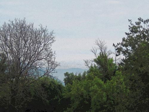 Faint Mountains Beyond Trees