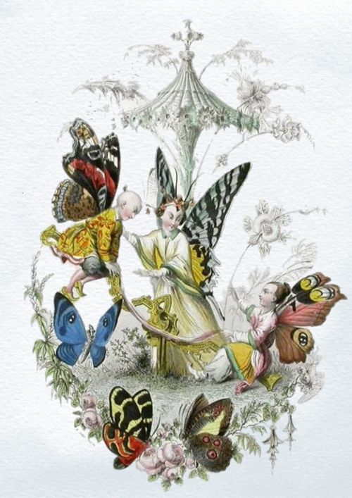 fairies vintage butterfly