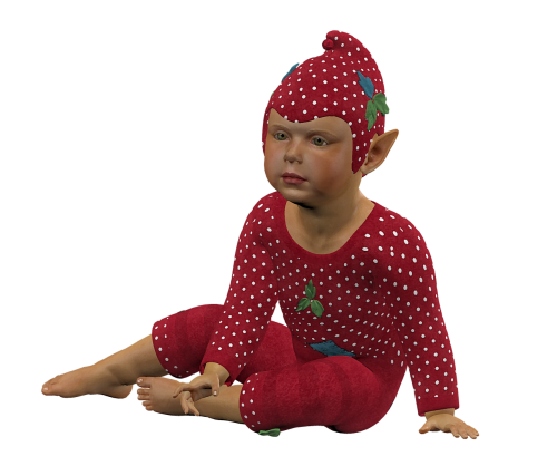 fairy pixie elf
